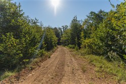 Big White Oak Tract 108