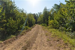 Big White Oak Tract 108