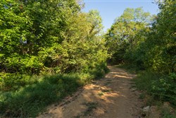 Big White Oak Tract 109