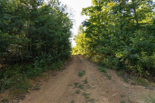 Big White Oak Tract 109