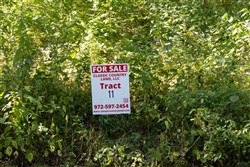Big White Oak Tract 11