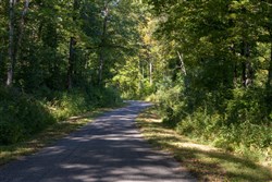 Big White Oak Tract 11