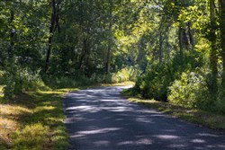 Big White Oak Tract 11