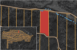 Big White Oak Tract 11