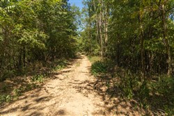 Big White Oak Tract 111