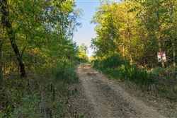 Big White Oak Tract 112