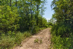 Big White Oak Tract 112