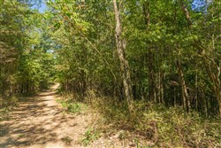Big White Oak Tract 112