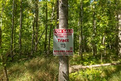Big White Oak Tract 113