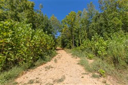 Big White Oak Tract 113