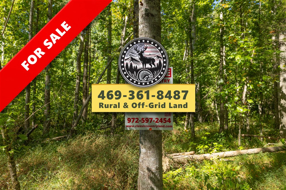 Big White Oak Tract 113 - Primary