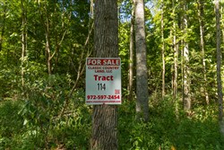Big White Oak Tract 114