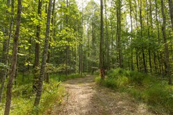 Big White Oak Tract 114