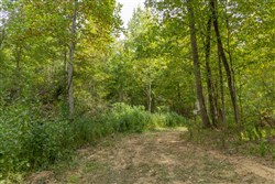 Big White Oak Tract 115