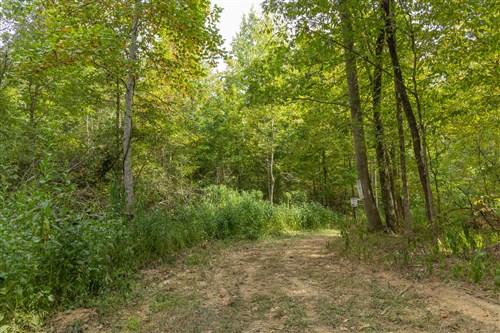 Big White Oak Tract 115