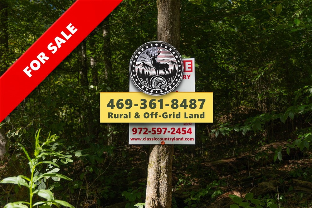 Big White Oak Tract 116 - Primary
