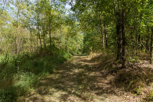 Big White Oak Tract 117