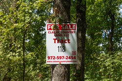 Big White Oak Tract 118