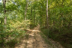 Big White Oak Tract 118