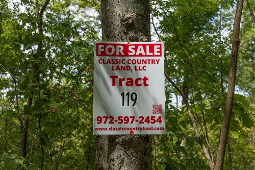Big White Oak Tract 119