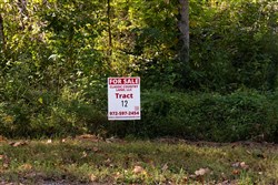 Big White Oak Tract 12