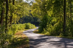Big White Oak Tract 12
