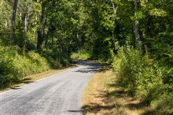 Big White Oak Tract 12