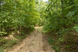 Big White Oak Tract 120