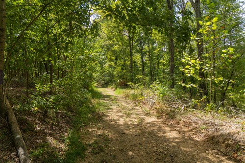 Big White Oak Tract 121