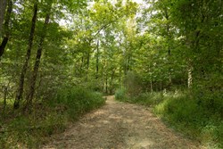 Big White Oak Tract 122
