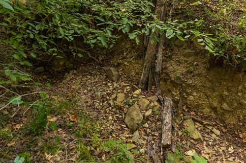Big White Oak Tract 122