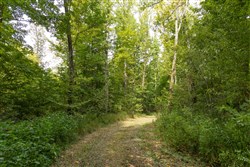 Big White Oak Tract 122