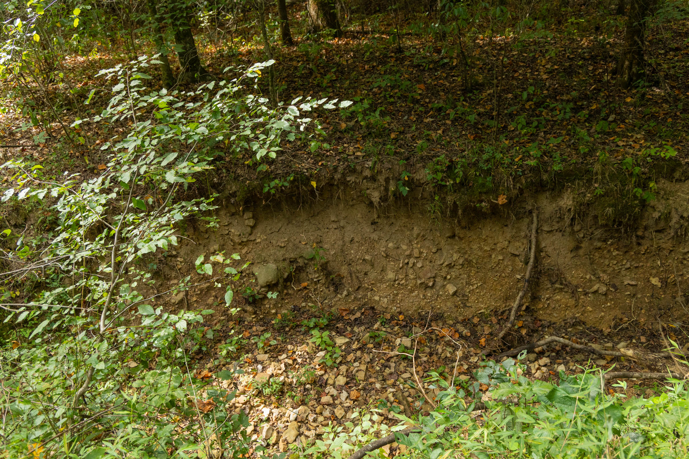 Tract 123 at Big White Oak in Perry County, Tennessee