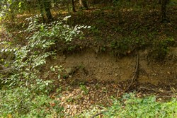 property photo for Big White Oak Tract 123, 6.4 acres for sale in Perry County, Tennessee