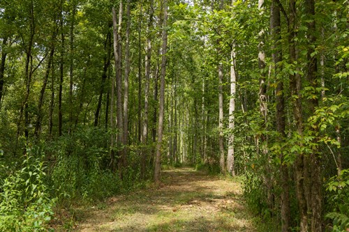 Big White Oak Tract 124
