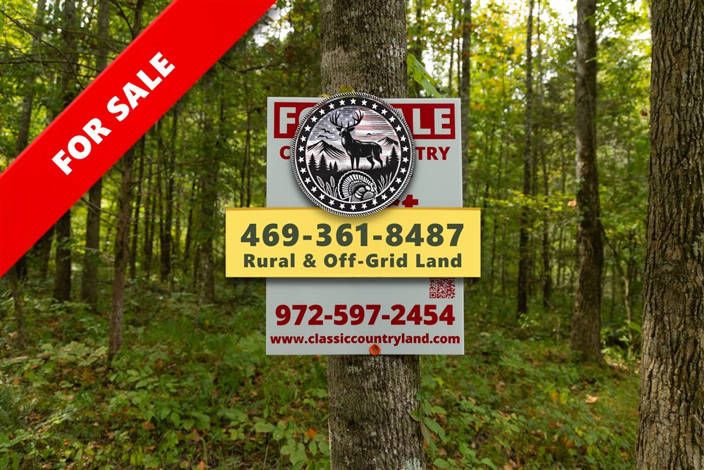 Big White Oak Tract 125 - Primary