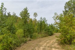 Big White Oak Tract 126