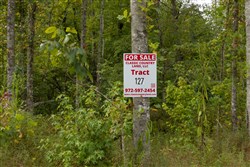 Big White Oak Tract 127