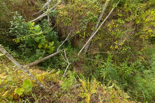 Big White Oak Tract 127