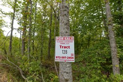 Big White Oak Tract 128