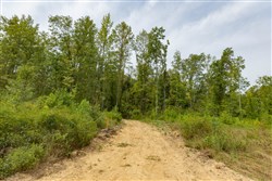 Big White Oak Tract 128