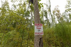 Big White Oak Tract 129