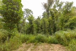 Big White Oak Tract 129