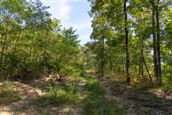 Big White Oak Tract 129