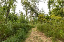 Big White Oak Tract 129
