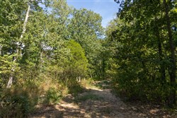 Big White Oak Tract 129
