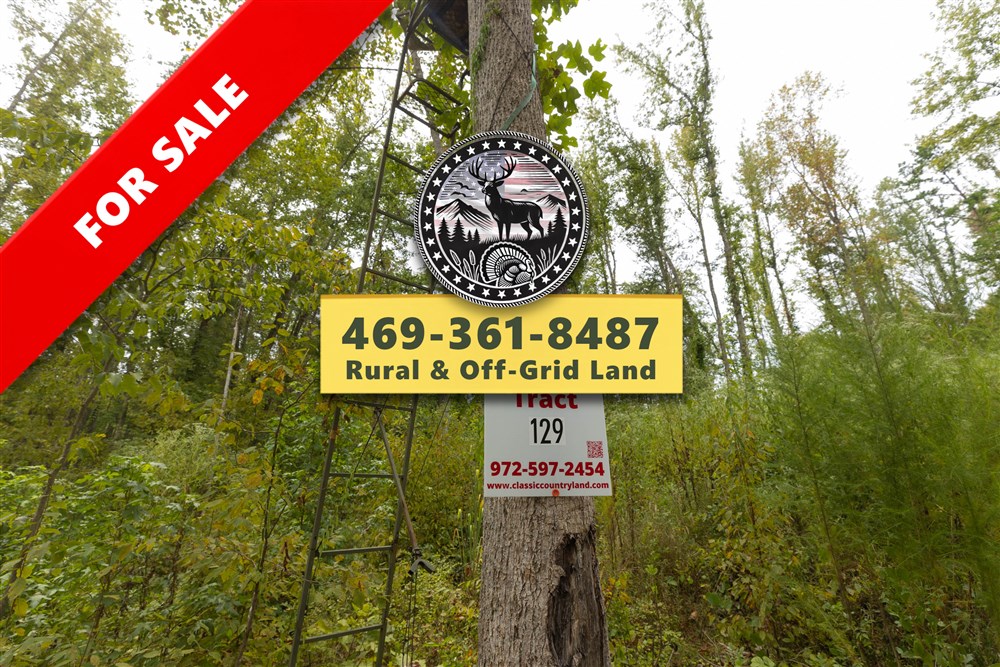 Big White Oak Tract 129 - Primary