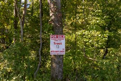 Big White Oak Tract 13