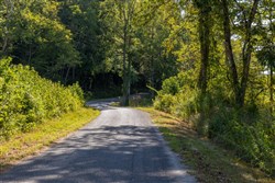 Big White Oak Tract 13