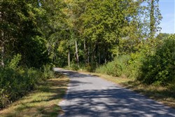 Big White Oak Tract 13